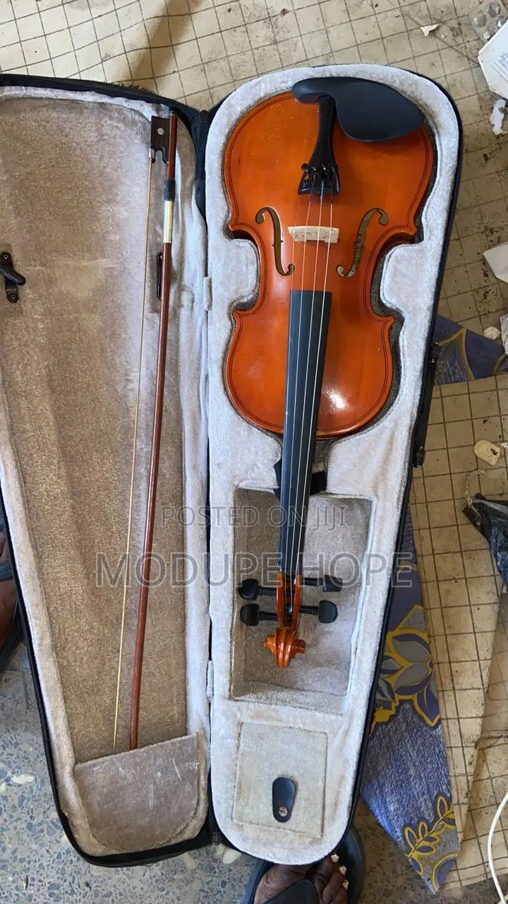 Violin With Case