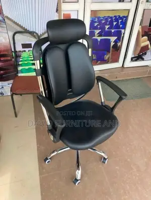 Office Kidney Shape Chair