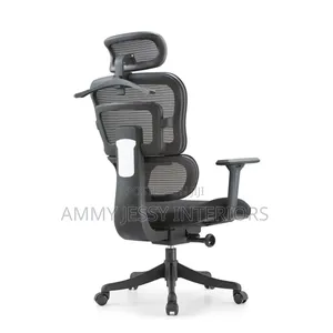 Standard Moden Office Chair