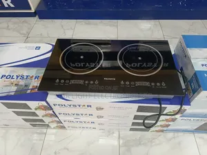 Electric Burner 2 Cooker Built-In