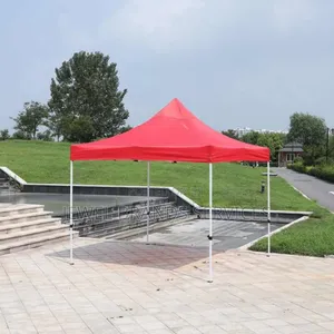 Foldable Canopy/ Gazebo 10 Feet X 10feet