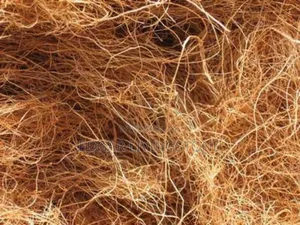 Fibre (Biodigester Construction)