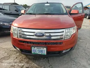 Ford Edge 2008 Orange
