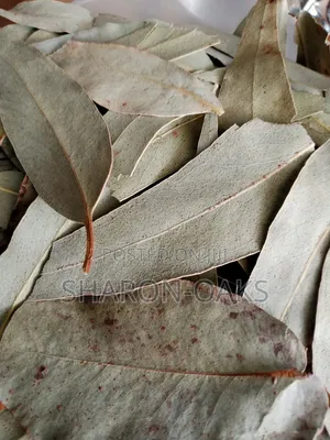 Eucalyptus Leaf 1kg