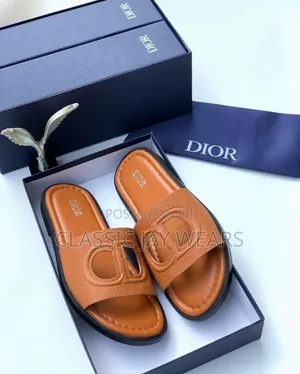 Dior Luxury Slippers Collections With Unique Design