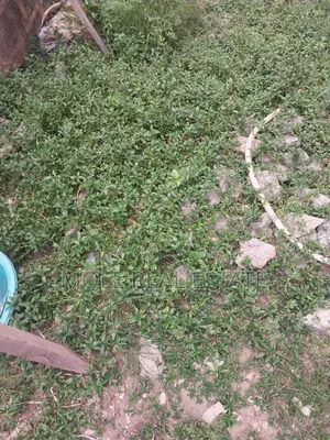 KLM of Verified Farm Land Odeda Ogun State