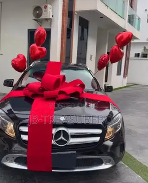 Surprise Car Decors