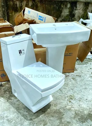 White Luxury Executive Water Closet With Basin and Pedestal