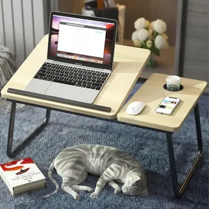 Low Table Folding Desk Laptop Desk 5 Levels Adjustable Angle