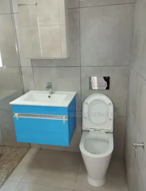 Professional Plumber in Lagos