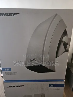 Bose 251 Outdoor Waterproof Speakers