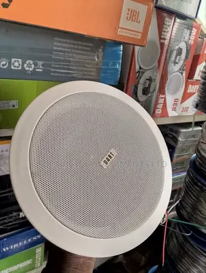Dart 30w Ceiling Speaker.
