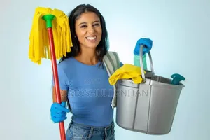 Household Cleaning and Laundry Services Available