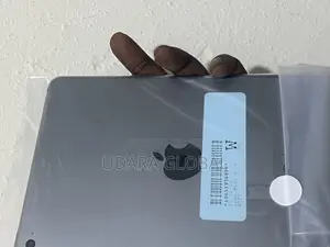 Apple iPad mini 4 16 GB Gray