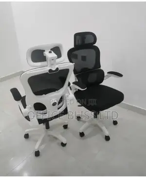 Mesh Ergonomic Swivel Office Chair