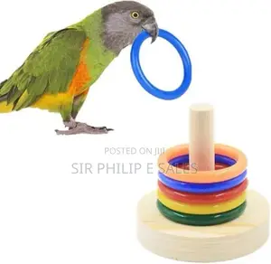 Parrot Training