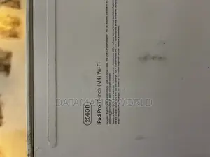Apple iPad Pro 256 GB Gray