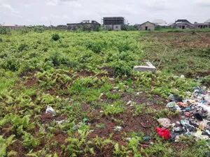 Genuine Farmland Bulk Now Selling Obafemi Owode Ogun State