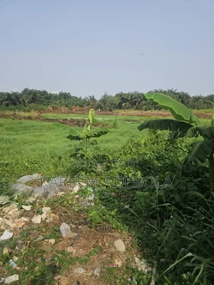 Residential Land Is Available at Chevron Drive Lekki