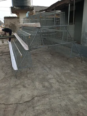 Semi Automated Battery Cages