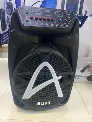 Ailipu Sp-3211d 12-Inch Rechargeable Pa System