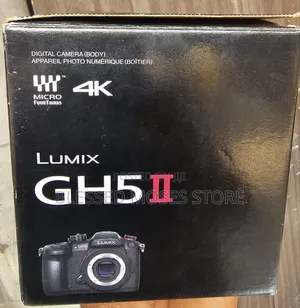 Panoramic Lumix Gh5 Ll Body