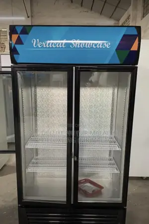 Vertical Display Chiller (Stainless Interior) 2 Doors Fridge