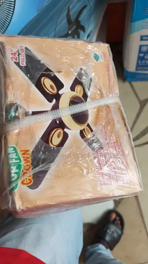 Small Ceiling Fan