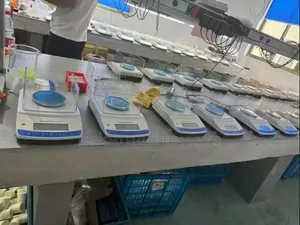 Ricool 5kg Analytical Scale