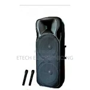 15 Inches Double Rechargeable Public Address System