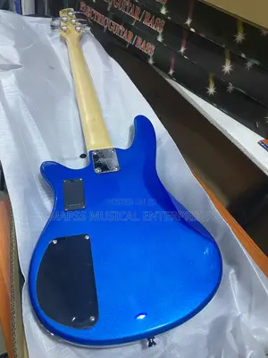Original Alvarez Five Strings Bass Guitar