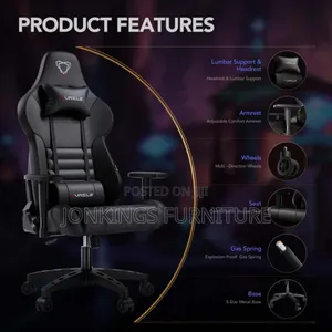 Furgle Ergonomic Leather Chair