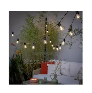 30 Warm White Bulb Festoon Light
