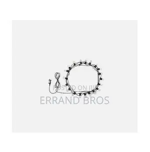 30 Warm White Bulb Festoon Light
