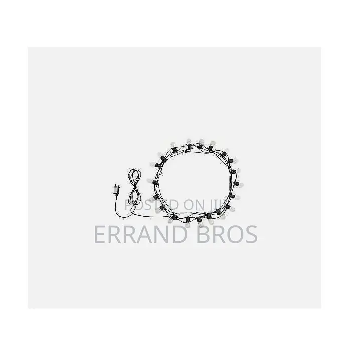 30 Warm White Bulb Festoon Light