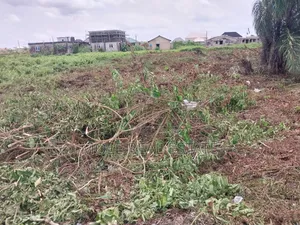 50 Acres Mixed Use Verified Farmland Lafenwa Ogun State
