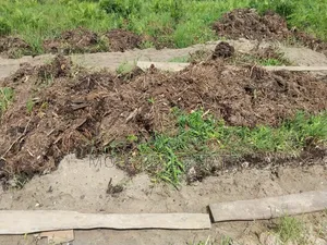 50 Acres of Fertile Farmland 4 Sale Odeda Ogun State