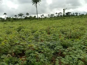 Farming Consultant