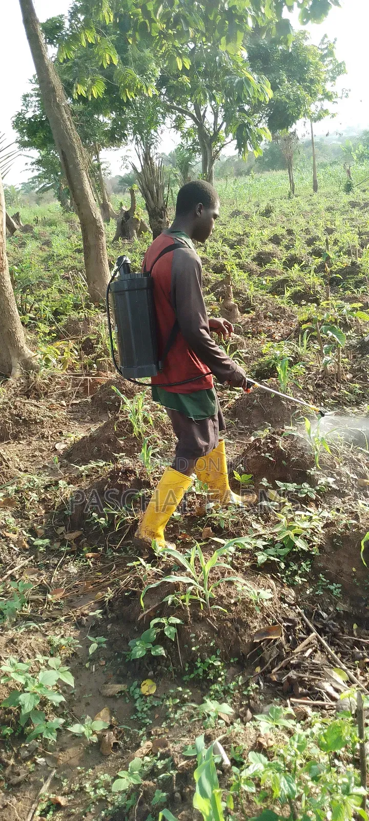 Farming Consultant