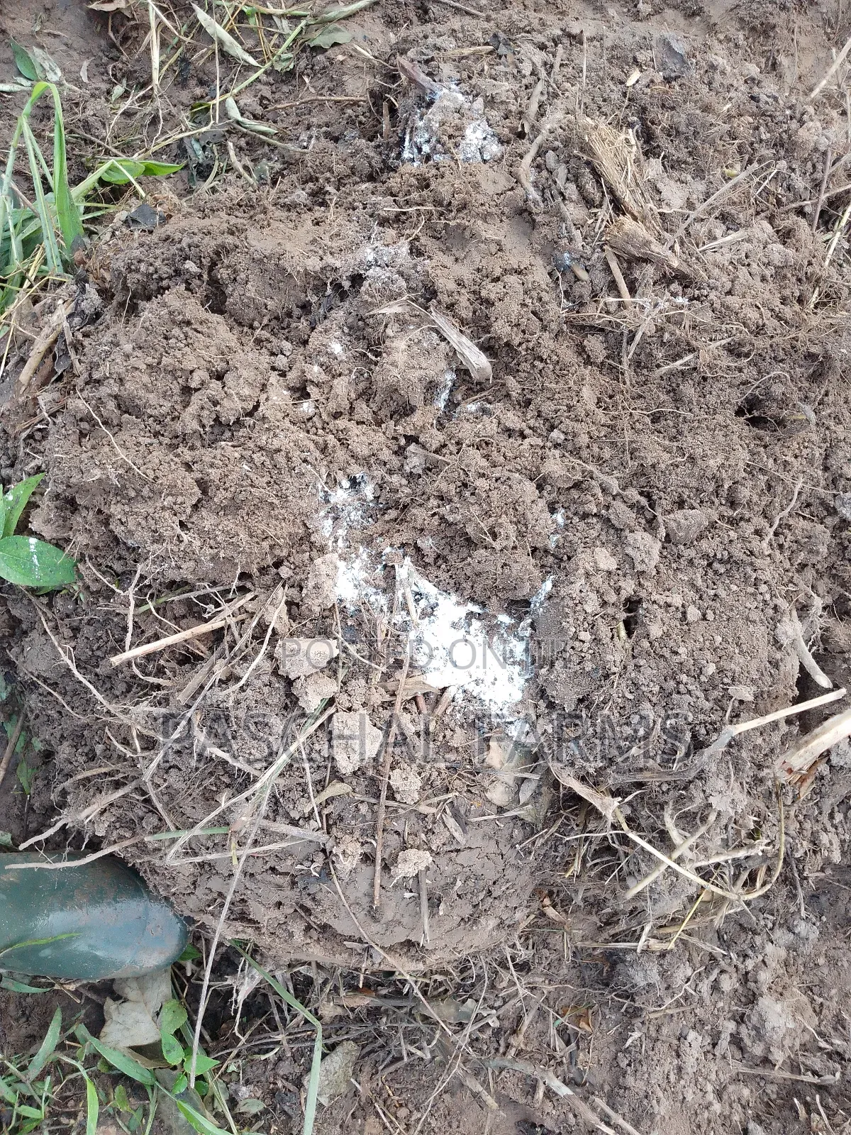 Farming Consultant