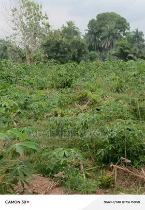 100acres of Farmland at Wakajaye/Gbongan