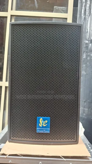 Professional 10inch Speaker
