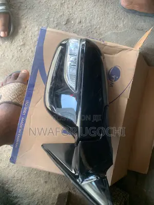Side Mirror 2010-2015 Honda Crosstor With Light