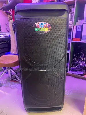 Meirende 15" Professional Audio Speaker
