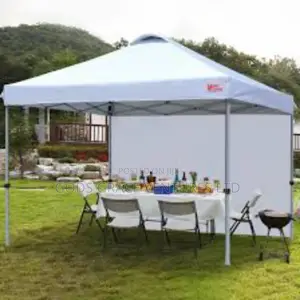 10 X 10 Foldable Canopy Imported With Side Wall