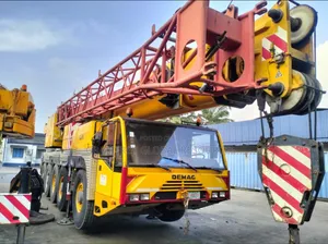 100 Tons Truck Crane for Rent/Hire