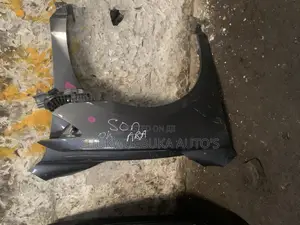 Fender Camry 2010