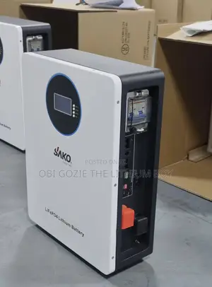 2.56kwh Sako Lithium Battery Still Available Bulk and Unit