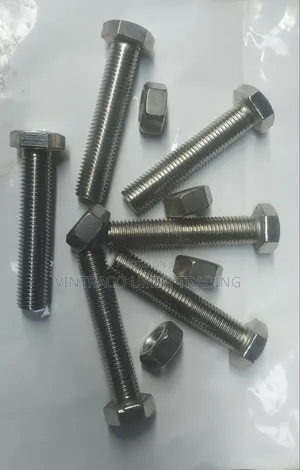 M20 X 100mm Stainless Steel Bolt and Nut