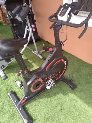 Motorized Exerciser Bike